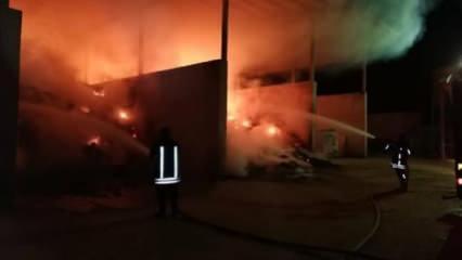 Amasya'da yem deposunda yangın 