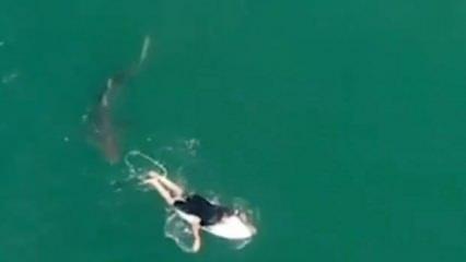 Avusturyalı sörfçü köpek balığından son anda kurtuldu