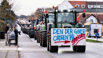 Danimarka'da vizon tartışması büyüyor: Çiftçiler sokakta