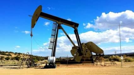 Suudi Arabistan'daki gelişmeler petrol fiyatlarını allak bullak etti