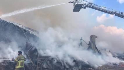 Bandırma'da korkutan yangın