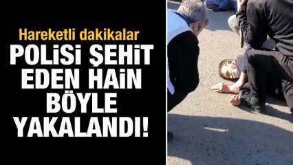 Kahramanmaraş'ta polisi şehit eden şahsın yakalanma anı kamerada