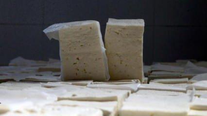 Tereyağı ve inek peyniri üretiminde rekor