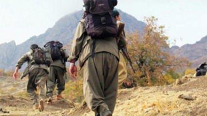 PKK'lı kadın terörist teslim oldu!