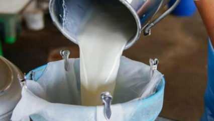 Çiğ süt fiyatları aylık belirlensin talebi