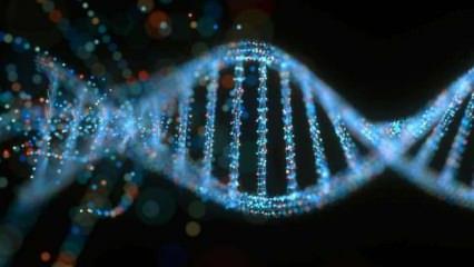 İnsan DNA'sındaki 5 genin koronavirüs ile bağlantısı ortaya çıktı