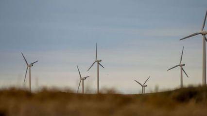 TÜREB'ten Türkiye'de rüzgarın büyümesi için her yıl bin megavat kurulum gerekli