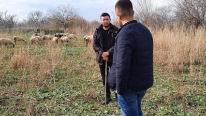 Havranlı çoban, paylaştığı videolarla sosyal medya fenomeni oldu