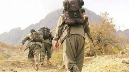 Irak güvenlik güçleri, Sincar'dan çıkmayı reddeden 4 PKK'lıyı tutukladı