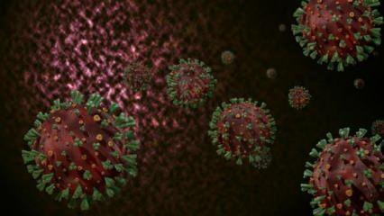 Koronavirüste dünyaya felaketi yaşatan mutasyonun adı açıklandı