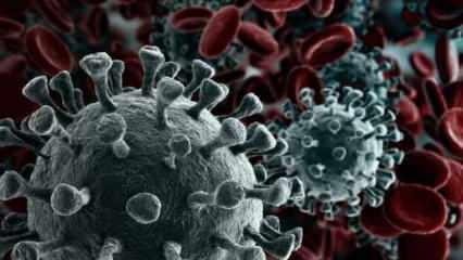 Koronavirüs mutasyona uğradı: Çin aşısı daha avantajlı olabilir