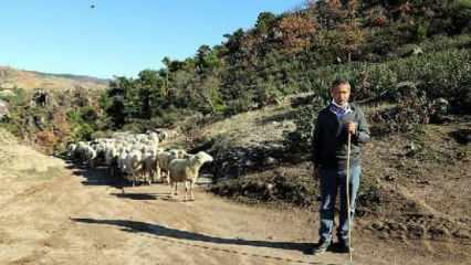 Koyunları telef olan aileyi Bakan Pakdemirli sevindirdi