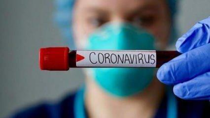Sorularla koronavirüs mutasyonu