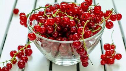 Vitamin deposu frenk &uuml;z&uuml;m&uuml;n&uuml;n faydaları nelerdir?