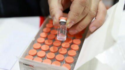 Çin aşısında kritik hafta! Aşı olan 10 bin kişinin sonuçları açıklandı