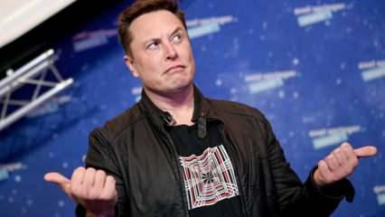 Elon Musk'ın Signal tavsiyesi alakası olmayan bir şirkete yaradı