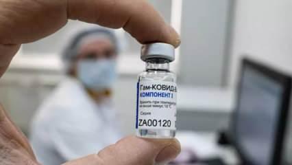 Bilim Kurulu üyesi Özlü yanıtladı: Gebelik ihtimali olanlar aşı yaptırmalı mı?