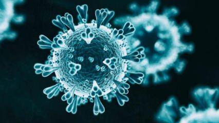 'Mutasyonlu virüste ölüm daha az'