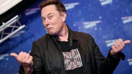 Elon Musk'ı yanlış anladılar! Yatırımcılar yanlış Signal'i aldı hisseler yüzde 1100 yükseldi