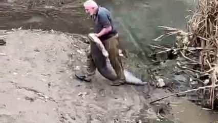 Irmakta boyu kadar balığı böyle yakaladı!                            