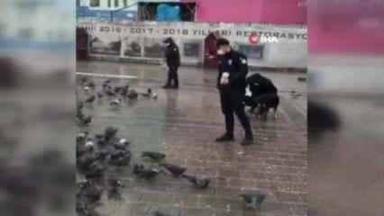 Karlı havada sokak hayvanlarına polis şefkati