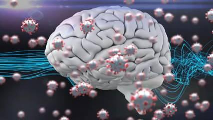Koronavirüs beyin fonksiyonlarını etkileyebilir!