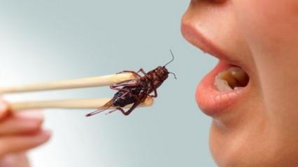 Uzmanından korkunç iddia: '20-30 yıl sonra böcekleri yiyeceğiz!'