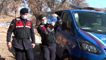 Jandarma ekipleri yaşlılara destek oluyor