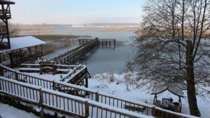 'Kuş cenneti' Efteni Gölü, buz tuttu