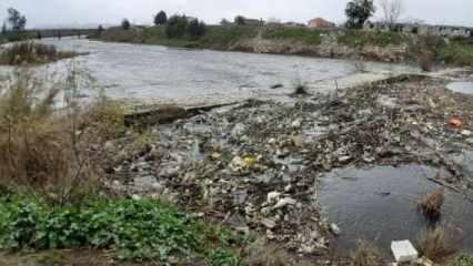 Büyük Menderes Nehri’nde kirlilik oranı 4'üncü seviyeye ulaştı