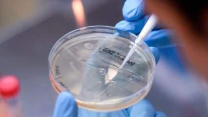 T&uuml;rk bilim insanları keşfetti! Covid&rsquo;in şiddeti bu gende gizli