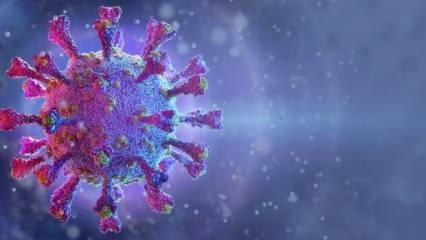 Japonya’da 11 kişide daha mutasyonlu virüs tespit edildi