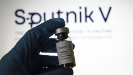 Rus aşısı Sputnk'in etkinlik oranı açıklandı