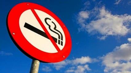 Fuat Oktay duyurdu! Sigaraya yeni yasaklar geliyor: O isimleri bir daha görmeyeceksiniz