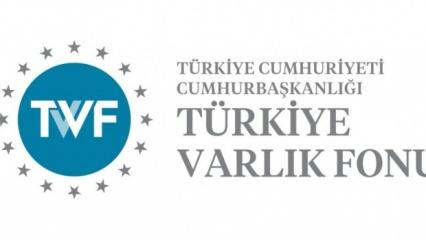 Türkiye Varlık Fonu'na yeni logo