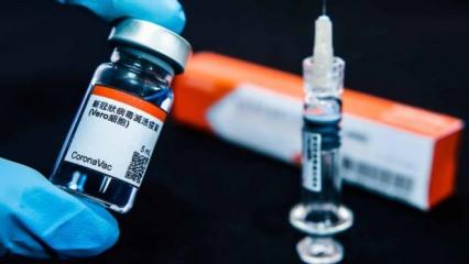 Türkiye'nin de satın aldığı Sinovac aşısına Çin'den acil kullanım onayı