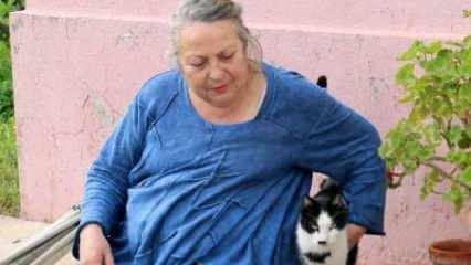 33 kedisine bakabilmek için müstakil eve taşındı