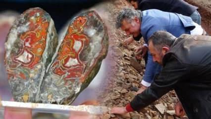 Tokat'ta yol yapımında kullanılan taşın milyonlarca yılda oluştuğu tespit edildi!