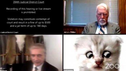 ABD'de online duruşmaya katılan avukat, kendisinin kedi olmadığına inandırmaya çalıştı