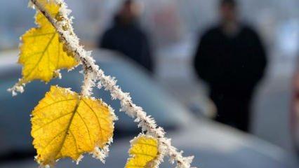 Bakan Pakdemirli, çiftçi ve vatandaşları zirai don ve yoğun kar yağışına karşı uyardı