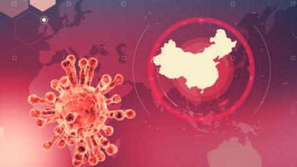 Çin'de koronavirüsün kökenini araştıran DSÖ'den Wuhan açıklaması: Kanıt bulamadık