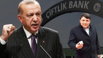 Erdoğan TV'de reklamı görünce anında talimat verdi: Lütfi, bu da Çiftlik Bank işine dönmesin