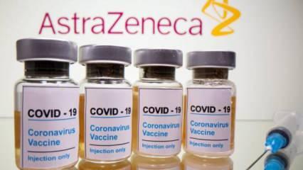 EMA tarih verdi! AstraZeneca aşısında kriz: 20'den fazla ülke kullanımını askıya aldı