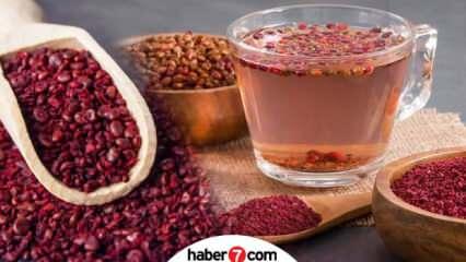 Aronya Meyvesi Nedir Hangi Hastaliklardan Korur Aronya Meyvesinin Faydalari Nelerdir Saglik Haberleri