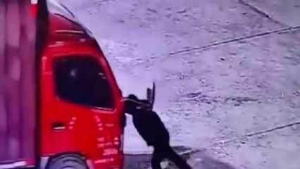 Çin'de sürücü el frenini çekmeyi unuttuğu kamyonetinin altında kaldı