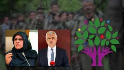 Nedim Şener'den dikkat çeken yazı: Terörist PKK’nın elindeki ‘esir’ HDP
