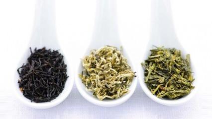 Yeşil, siyah, beyaz... Hangi çay sağlığa daha çok faydalı? Farkları neler?