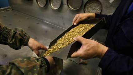 Beş yılda 154 ton altın ürettik