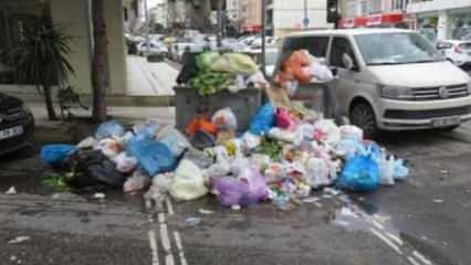 Maltepe'deki çöp rezaleti için istenen yardıma İBB'den şoke eden yanıt
