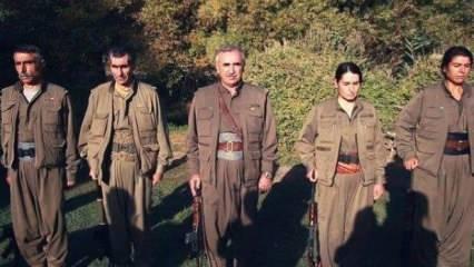 İtiraf ettiler! PKK elebaşı Karayılan bakın ne talimat vermiş...